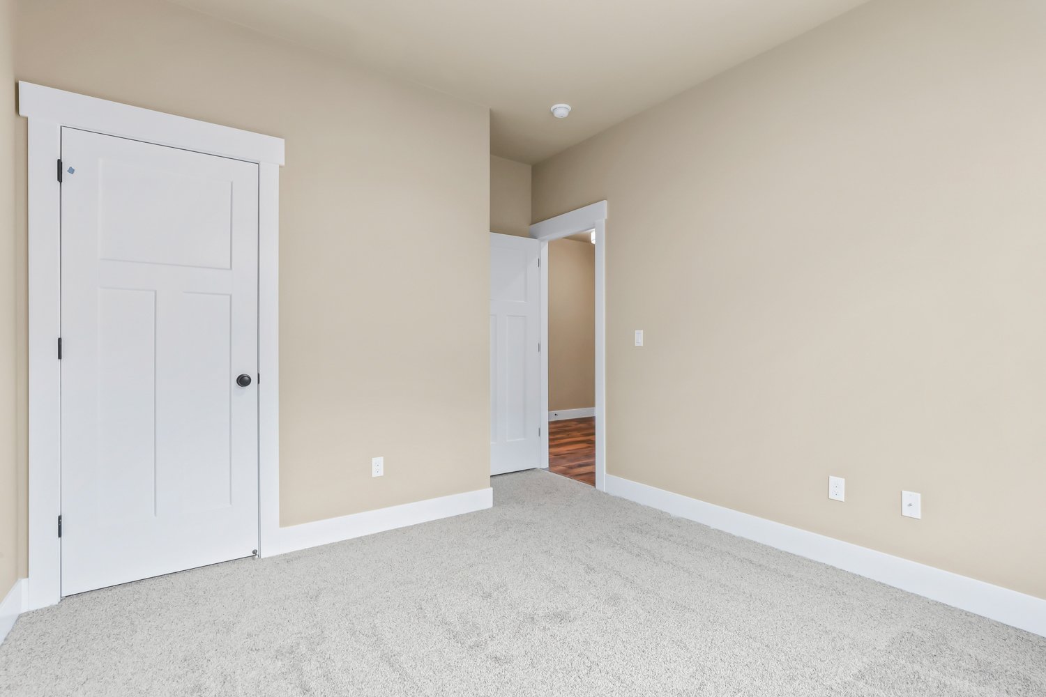 Carpet Soft Details Renoir, Paint Sherwin Williams Benjamin Moore Blanched Almond # 1060, Bedroom.jpg