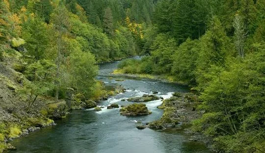 estacada-or-6.jpg