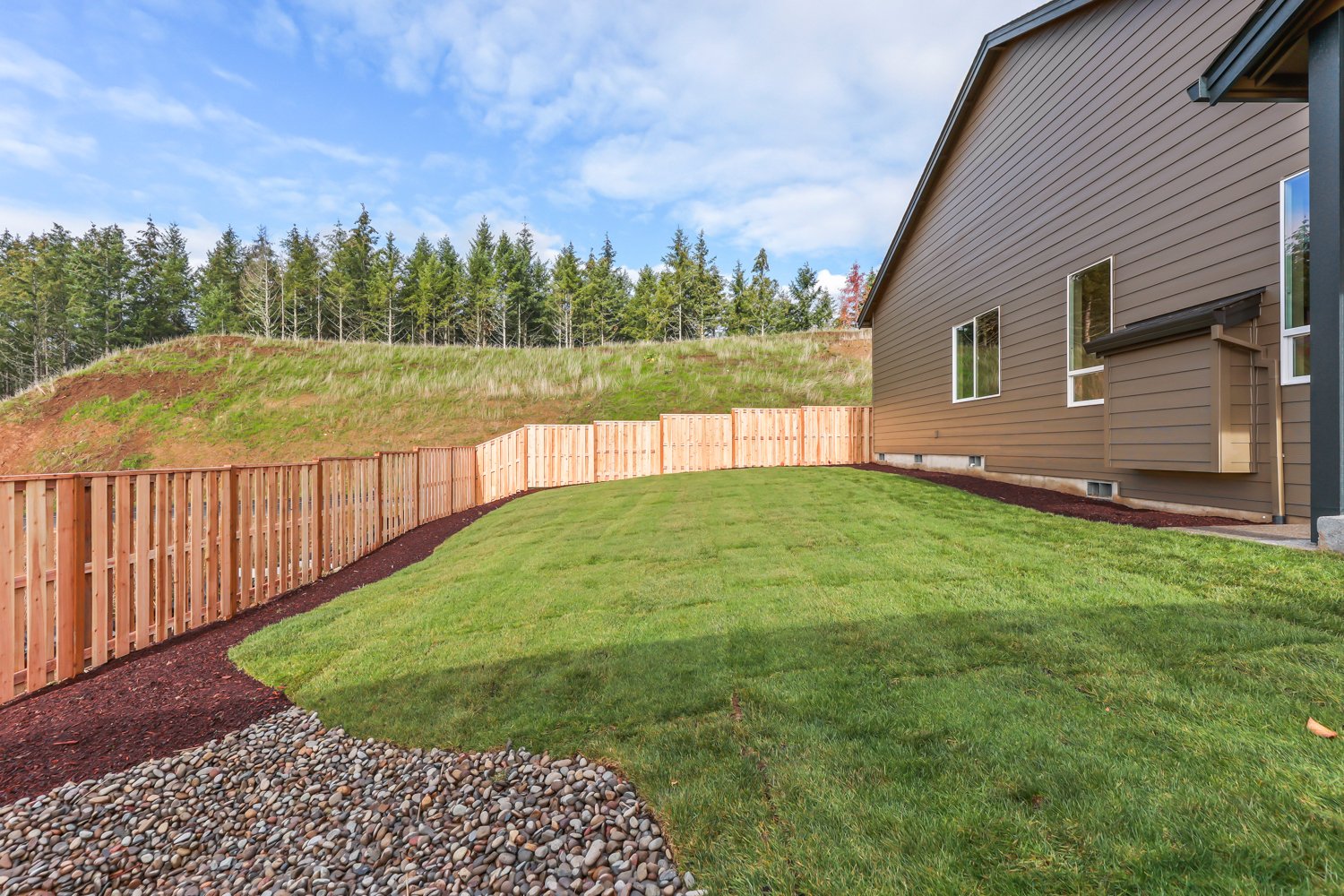 Grass, Fence.jpg
