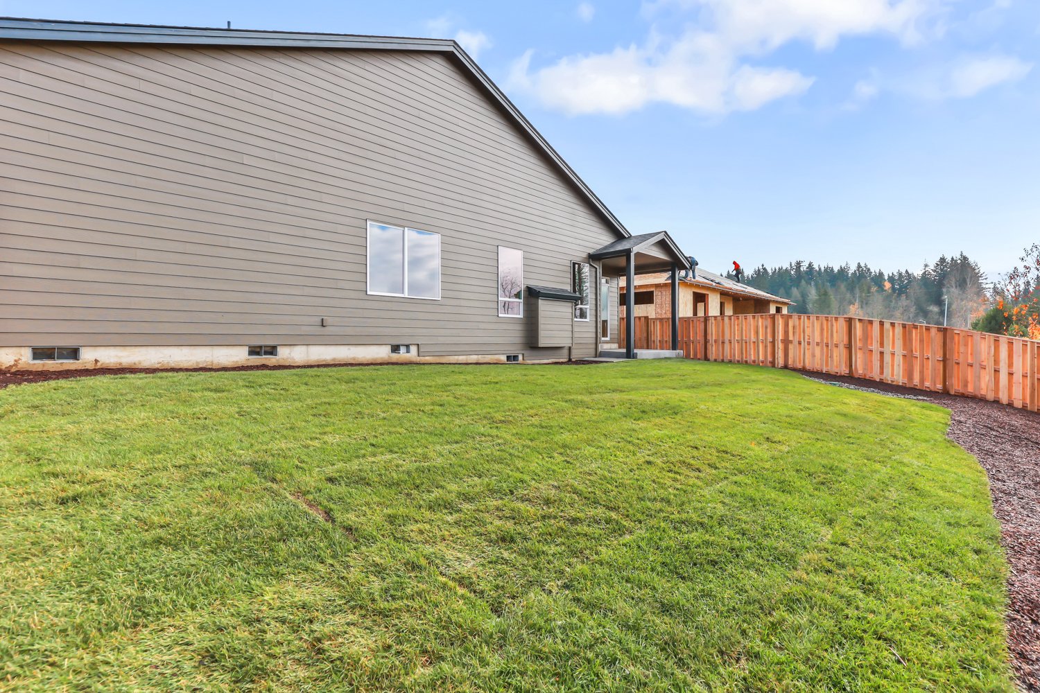 Back Yard, Grass.jpg