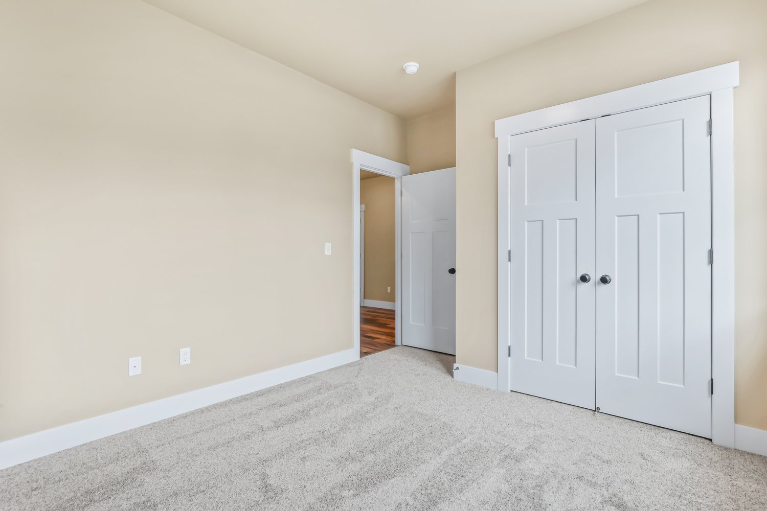 Carpet Soft Details Renoir, Paint Sherwin Williams Benjamin Moore Blanched Almond # 1060.jpg