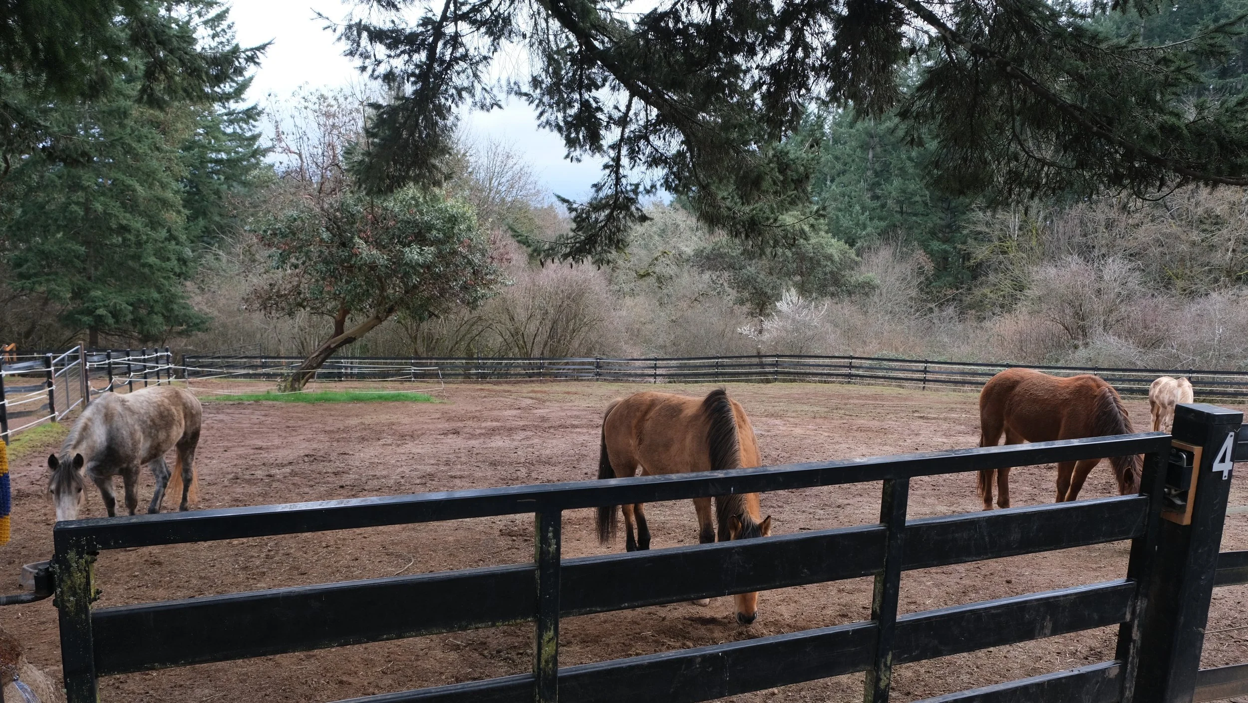 grounded retreat: saturday day pass