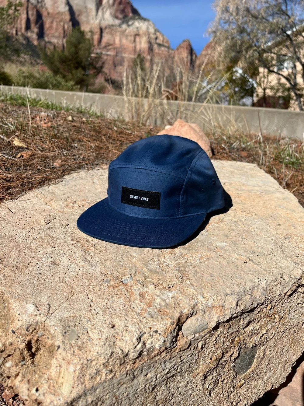 Casquette Low Profile Velours Strapback - 20,00