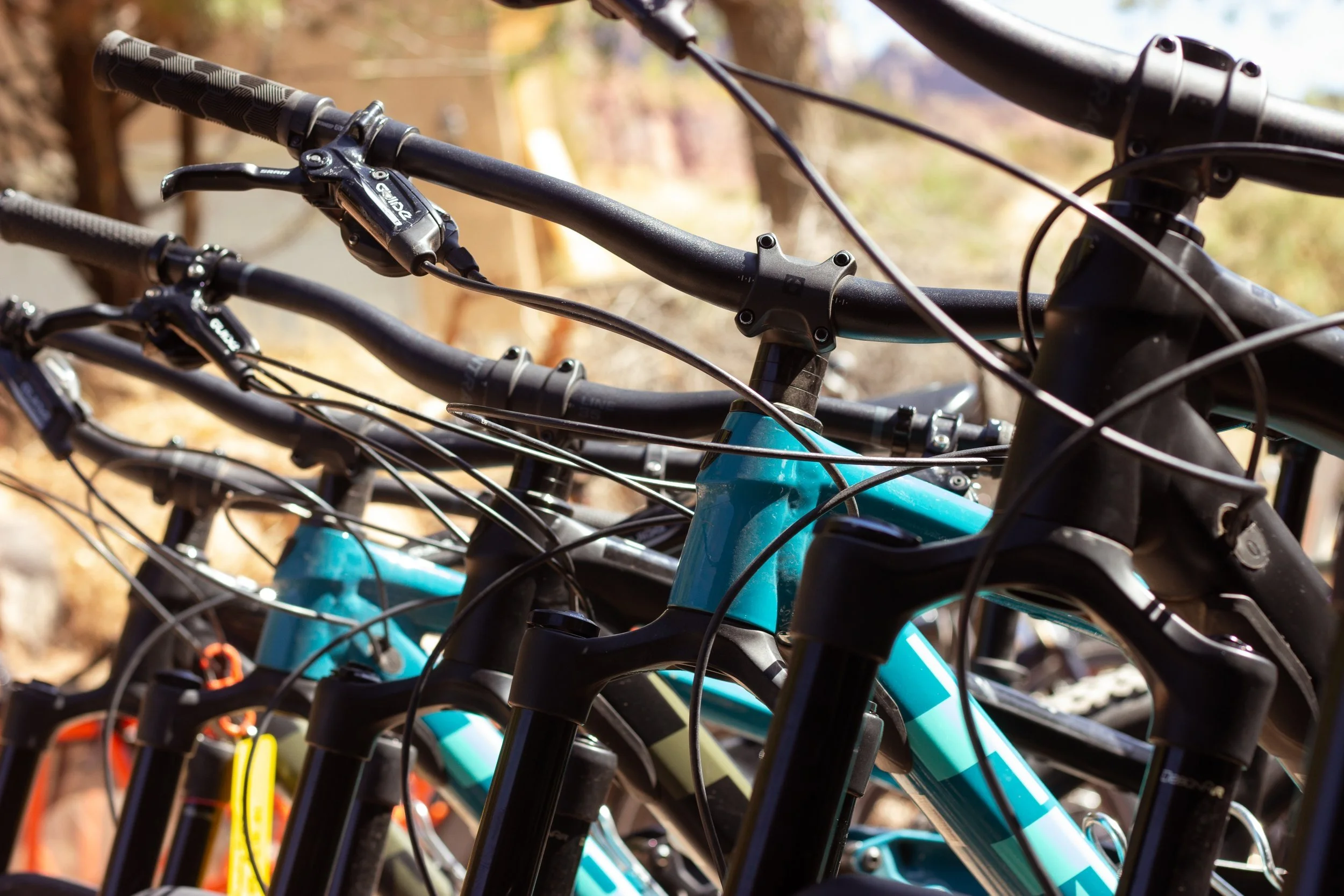 Zion National Park: The Best Bikes for Every Adventure