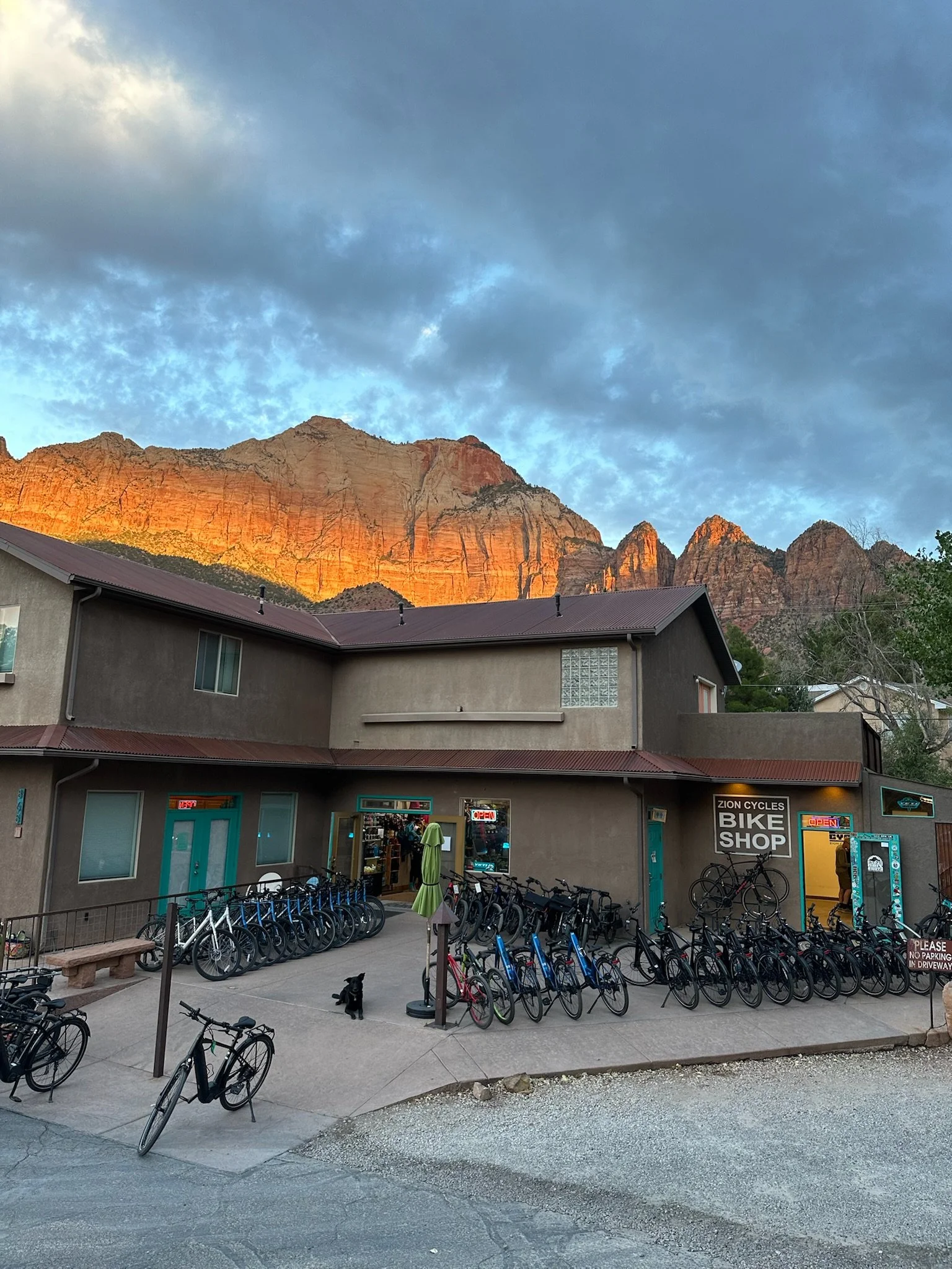 Zion E-Bike Rentals: What to Look for Before You Book