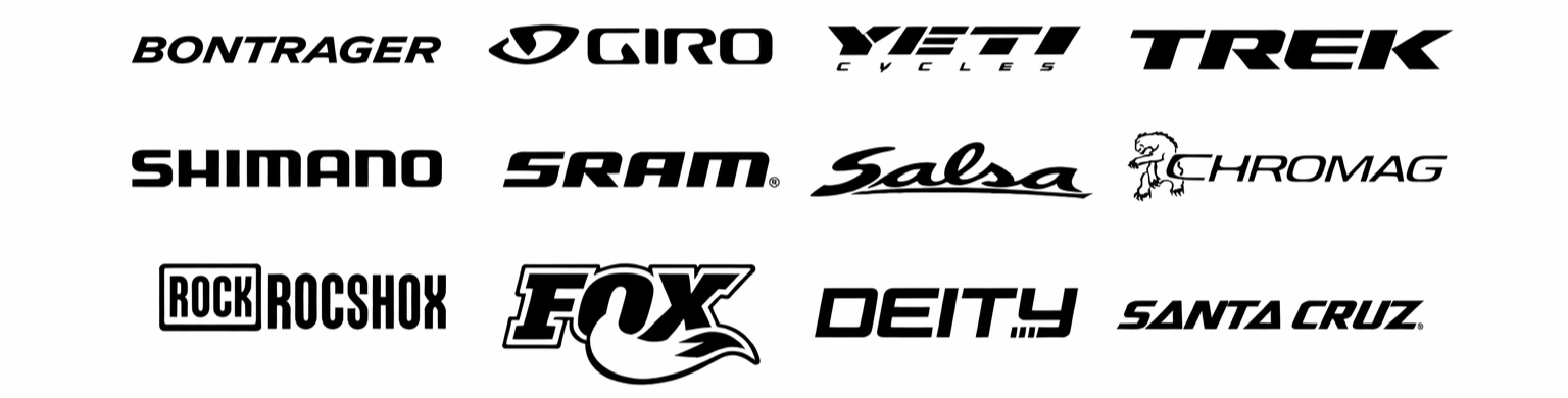 Zion bike brands
