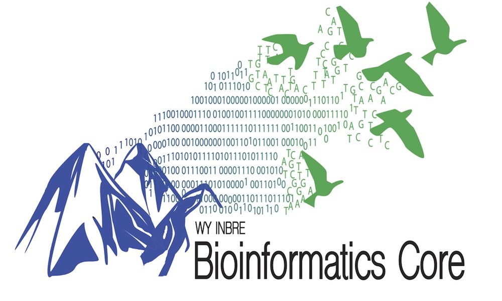 bioinformatics-core.jpg