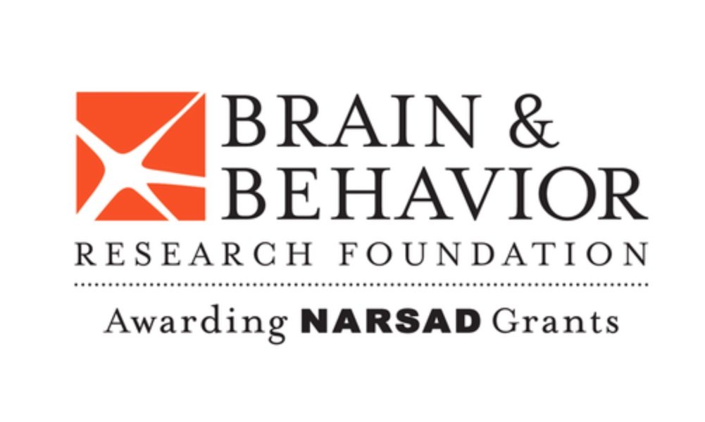 brain-and-behavior-research-foundation-new.jpg