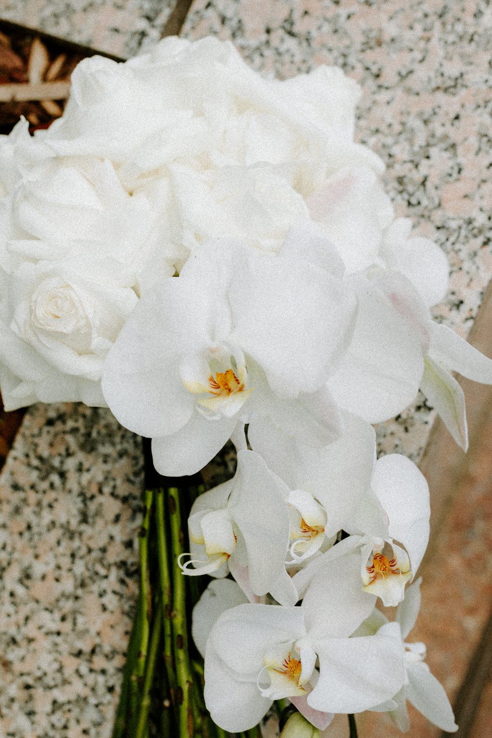Orchid Bouquet for City Elopement