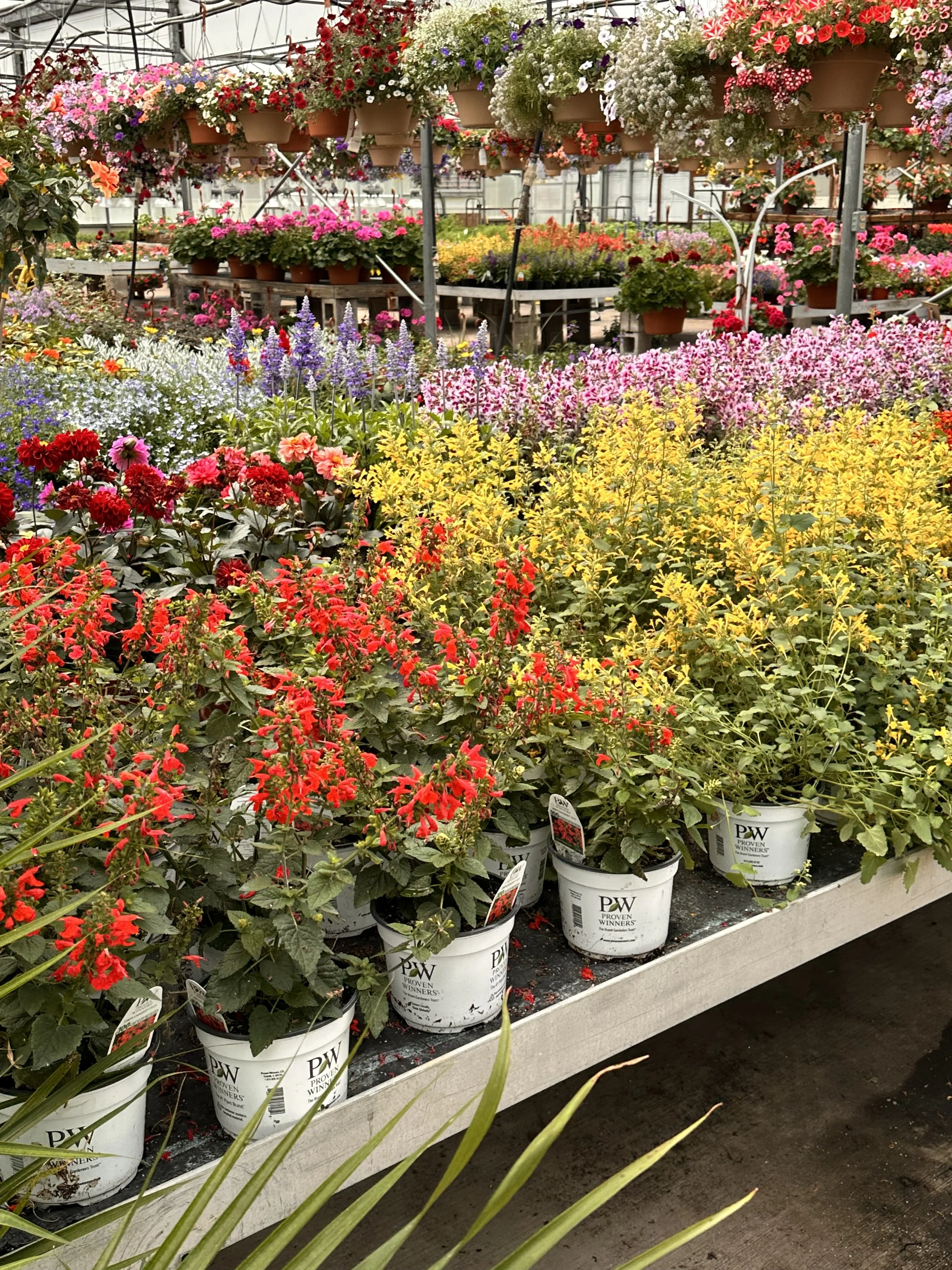 Ecotherapy for Anxiety
