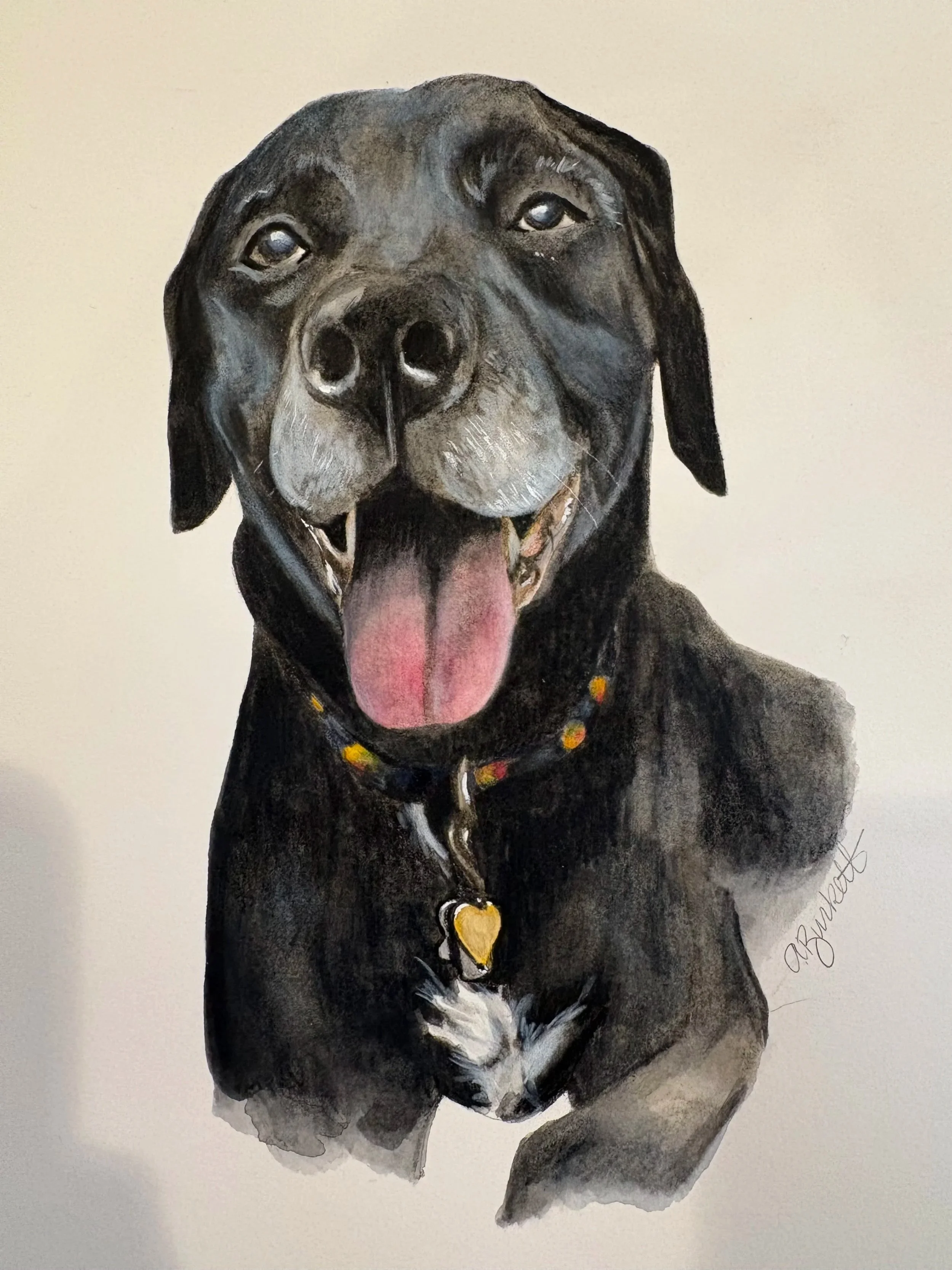 ecotherapy, dog therapy, anxiety