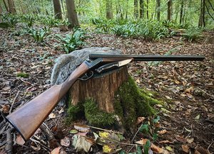 IMG_6842.jpeg