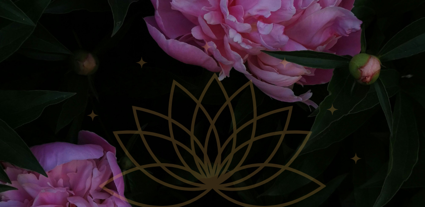 Womb Wisdom Circle & Cacao Ceremony in Toronto with Emilie Guimond-Bélanger