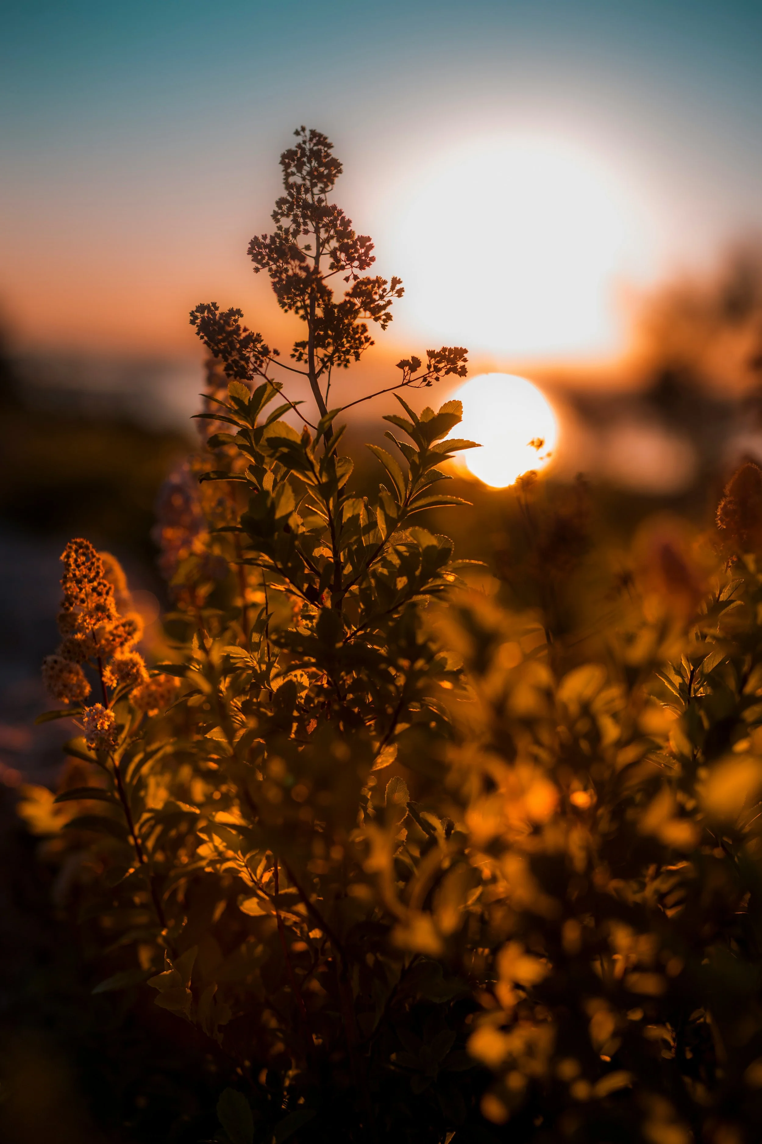 Monthly Women's Circle in Toronto