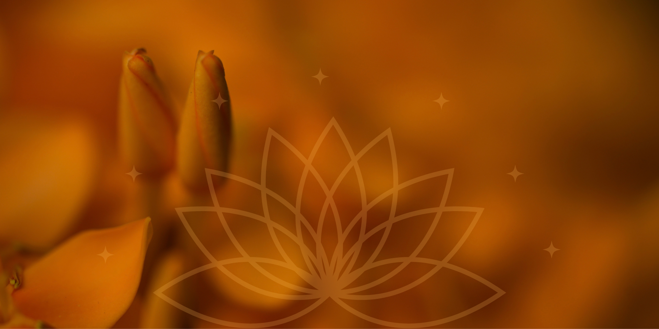 One-year Membership - Feminine Embodiment Workshops