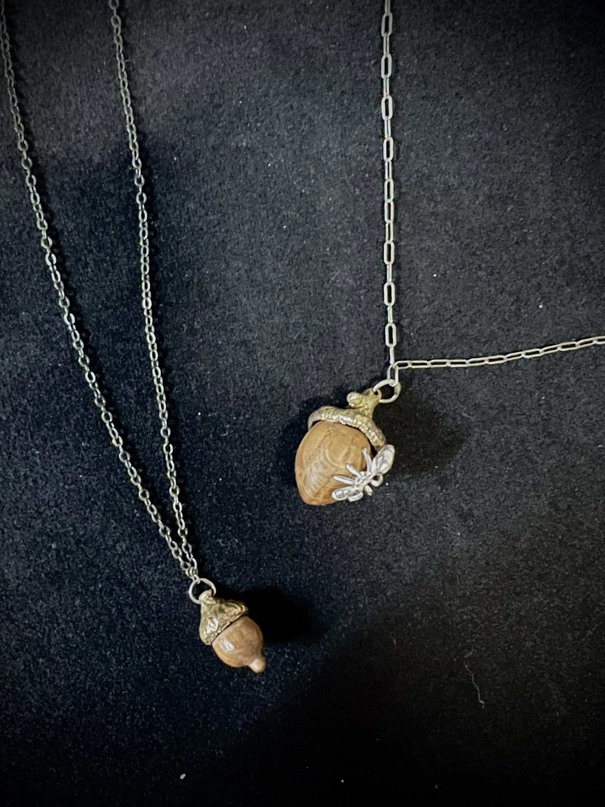 acorns