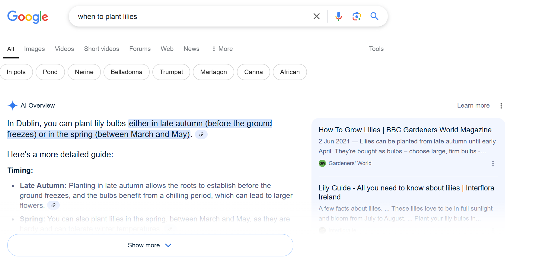 AI Overview Example - what are AI Overviews.png