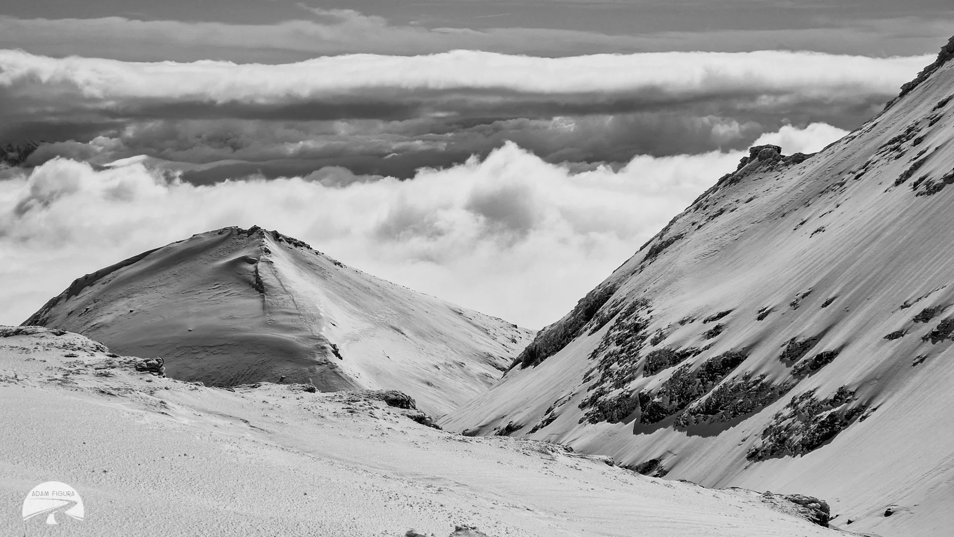 photo (36 of 40).jpg