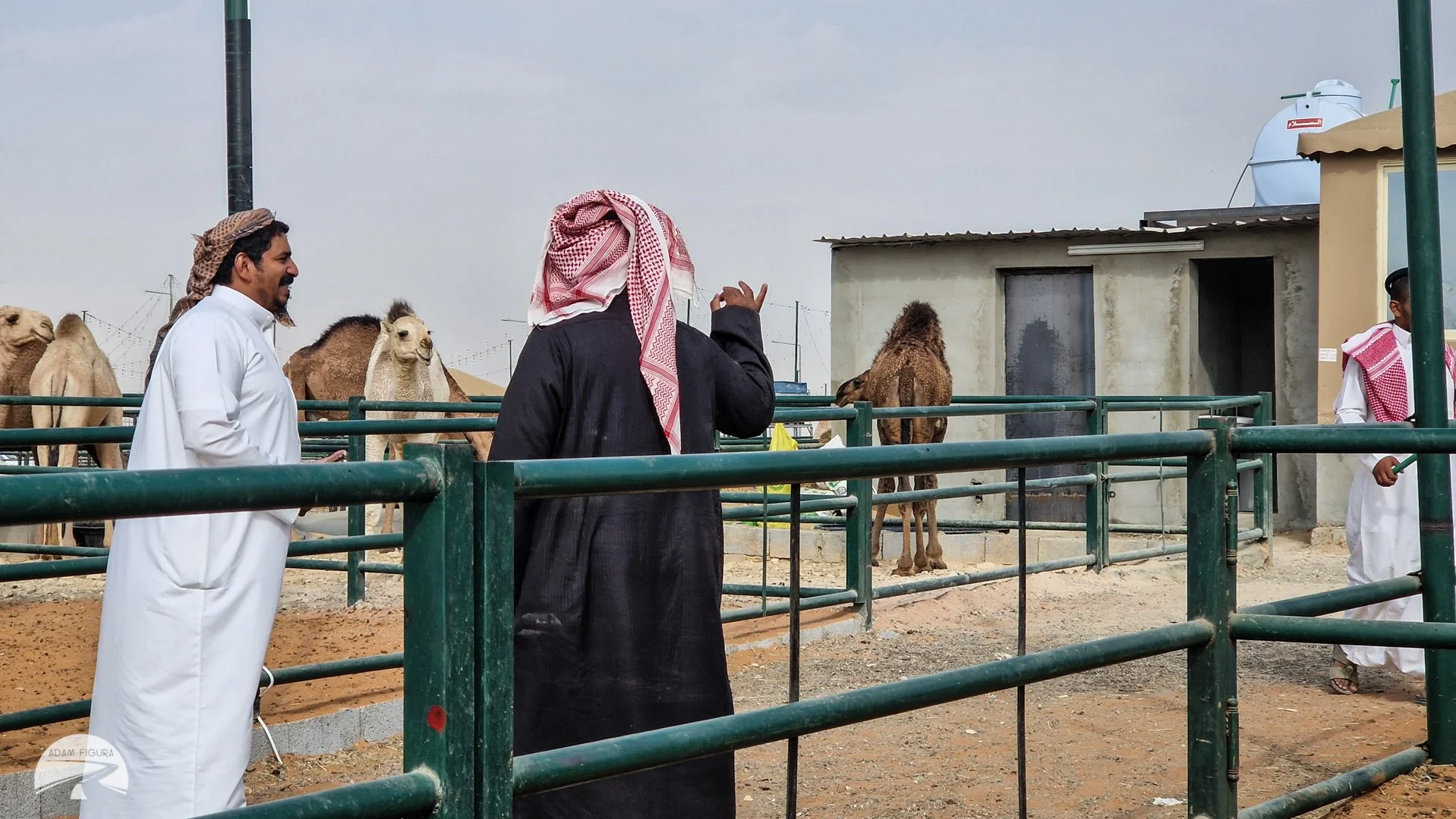 photo (11 of 43).jpg