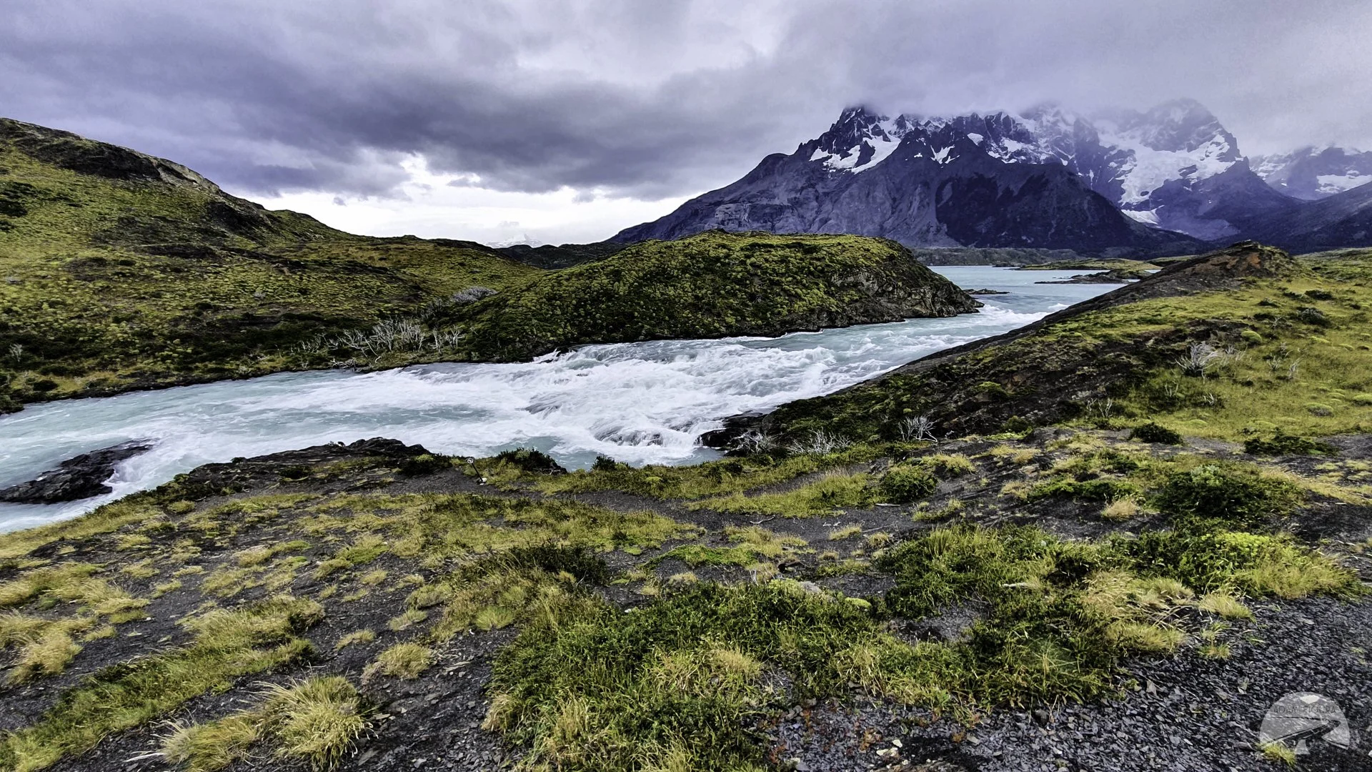 untitled (33 of 160).jpg