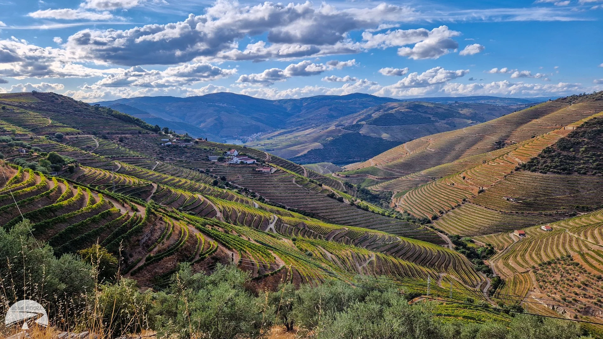 photo (12 of 34).jpg