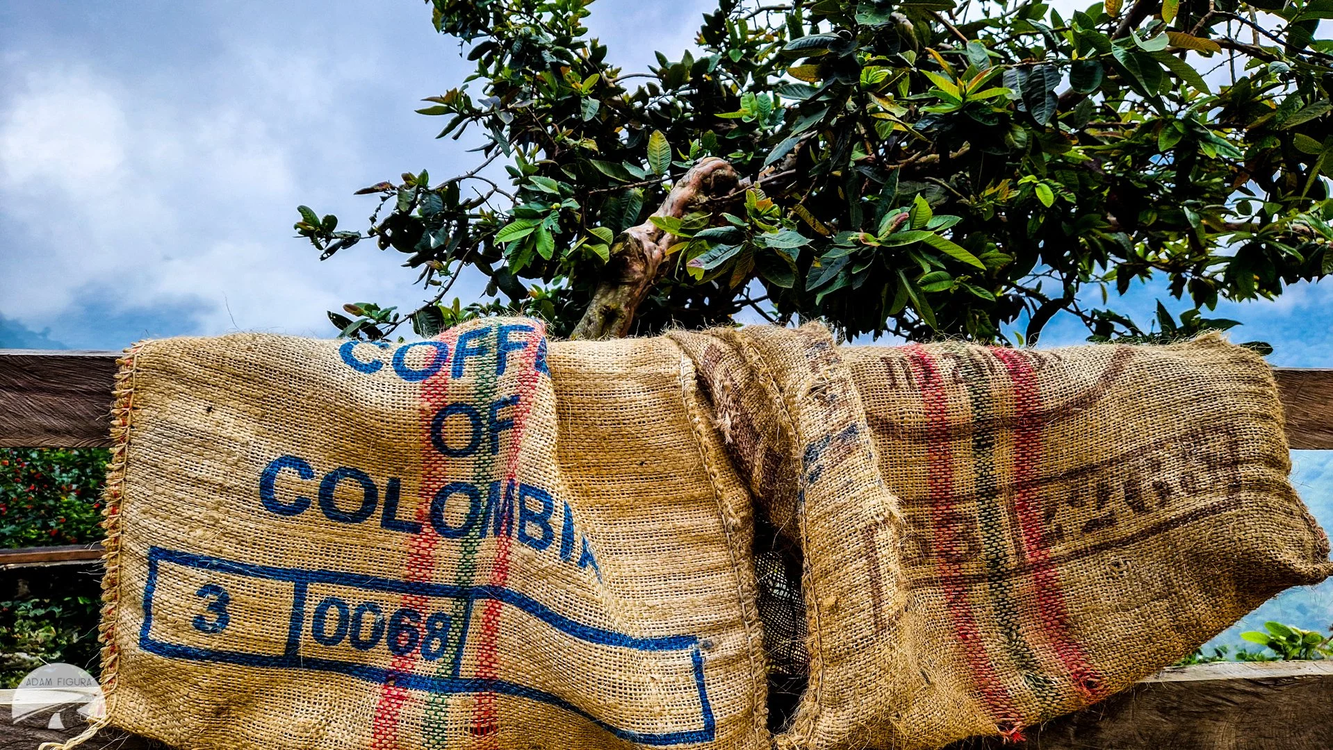 Colombia26.jpg