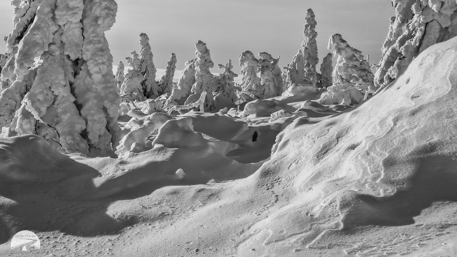 photo (33 of 40).jpg