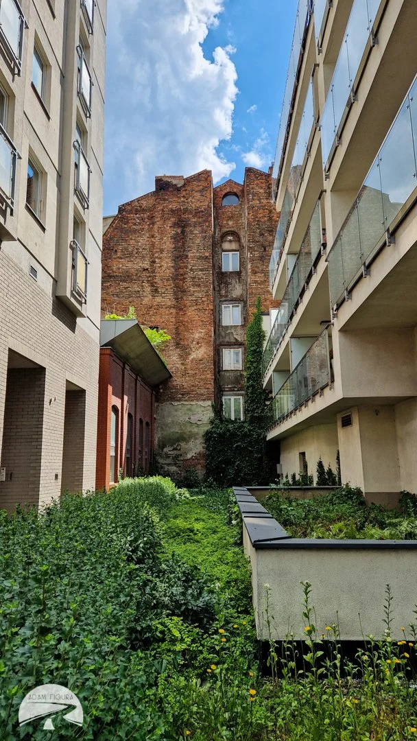 photo (10 of 17).jpg