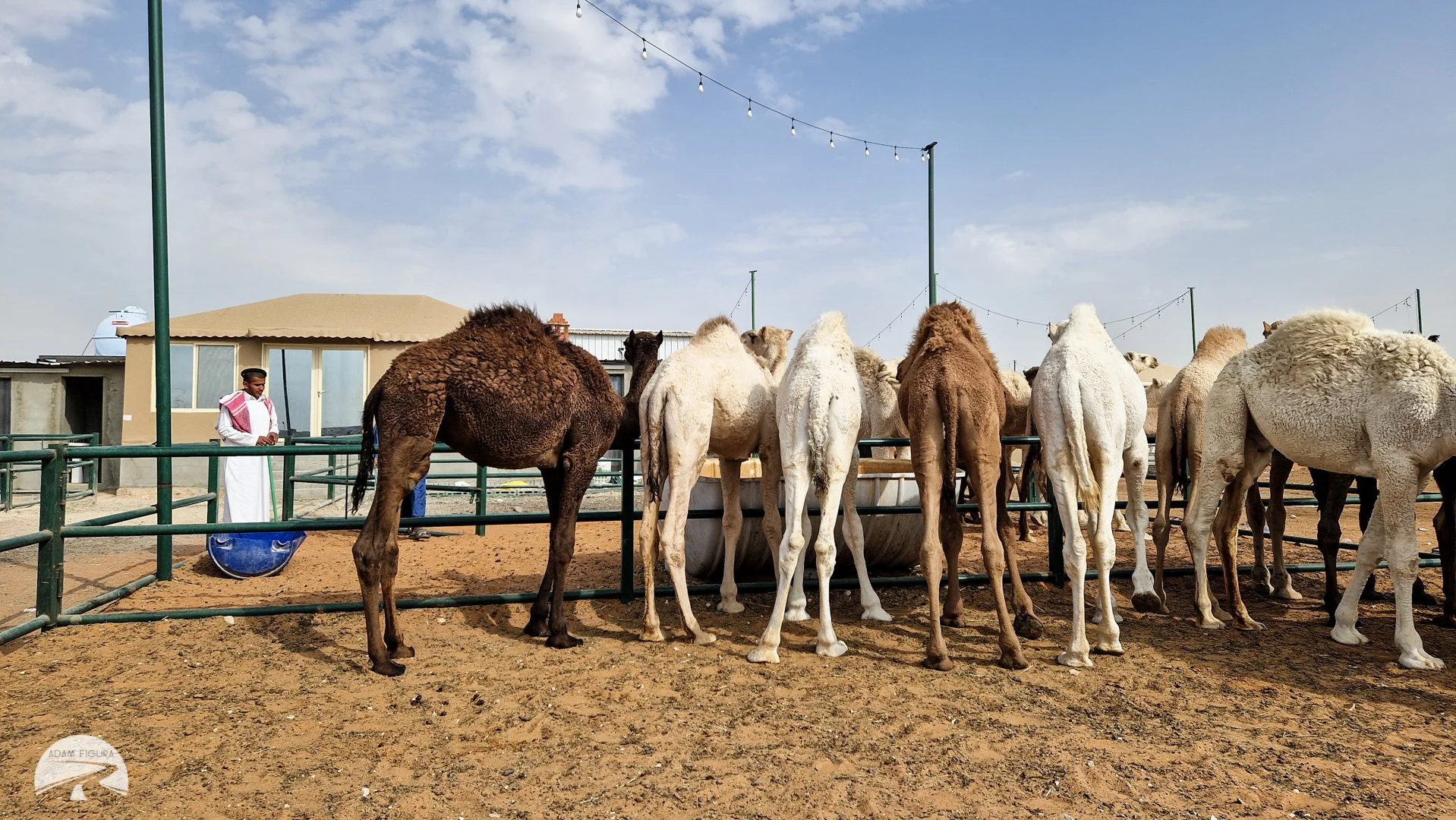 photo (12 of 43).jpg