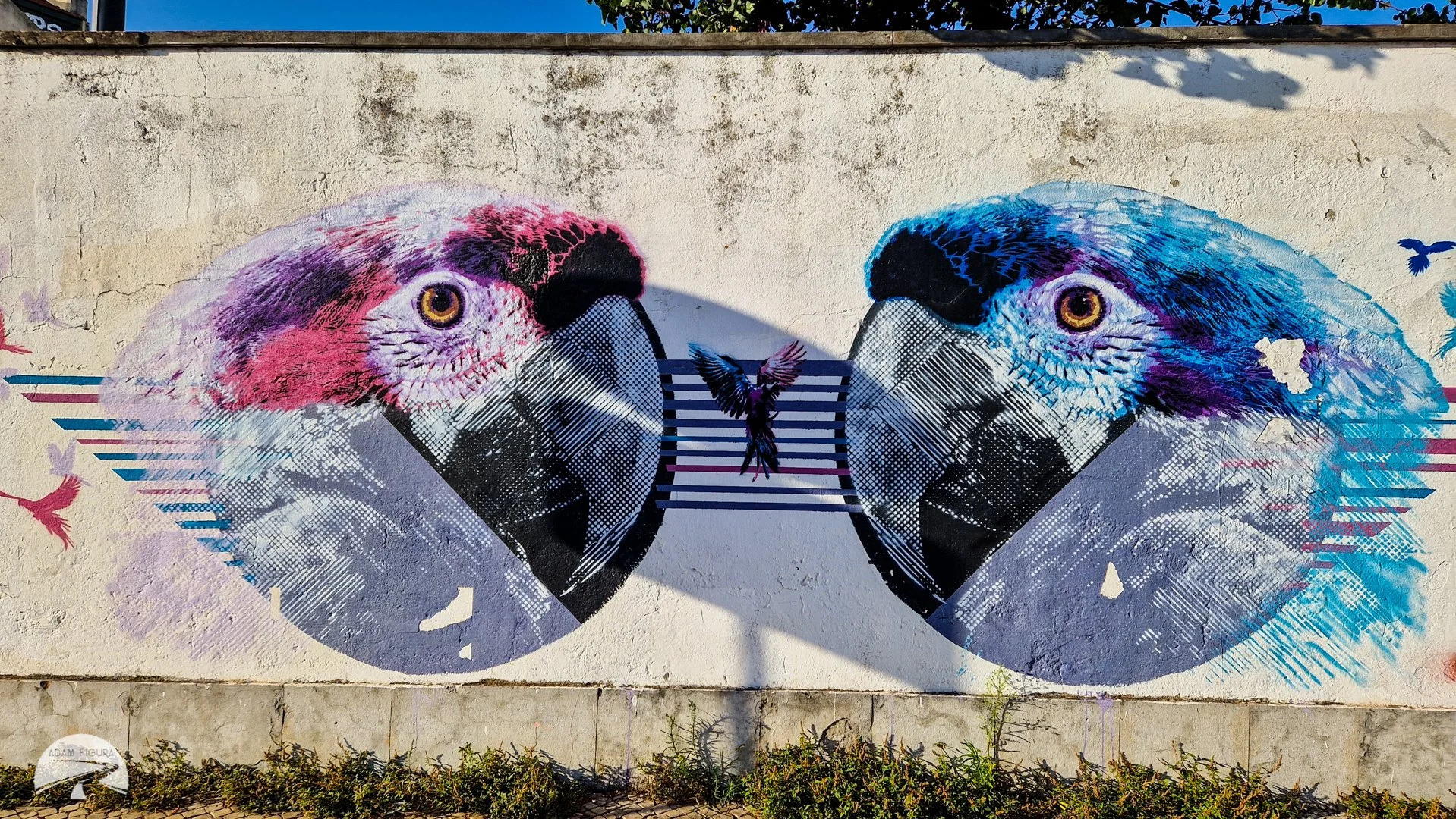 photo (30 of 32).jpg