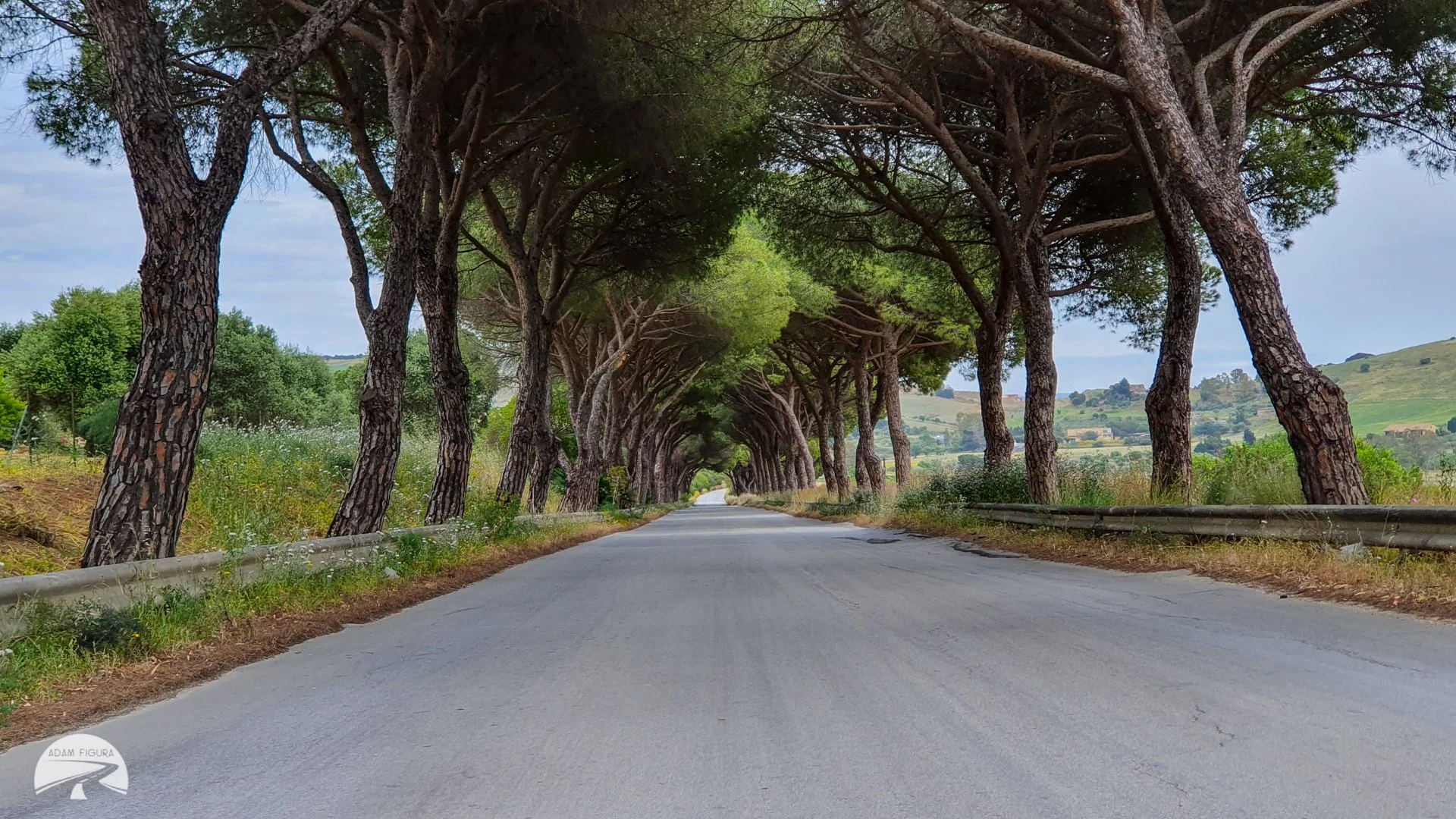 photo (27 of 28).jpg