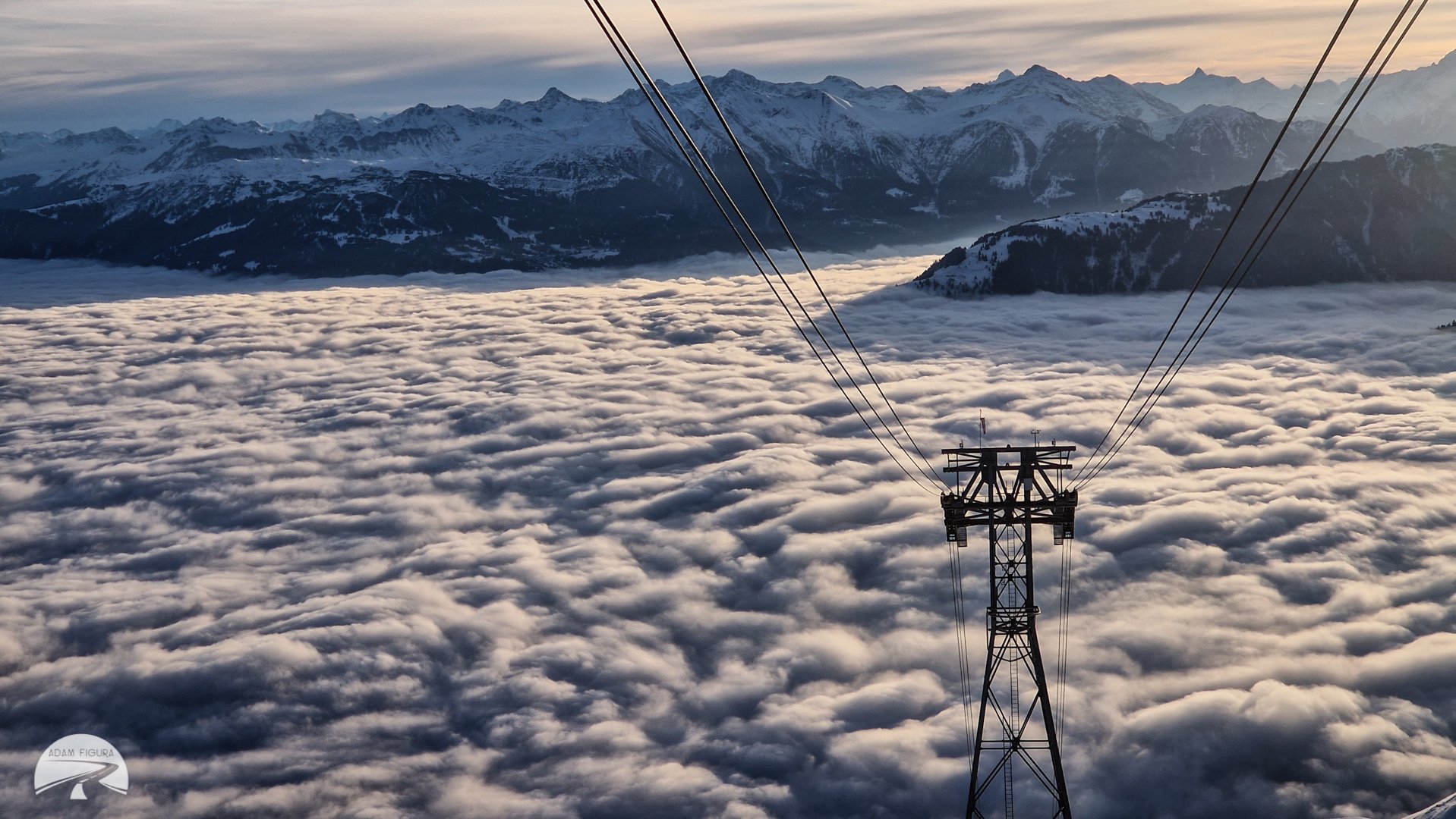 photo (37 of 40).jpg