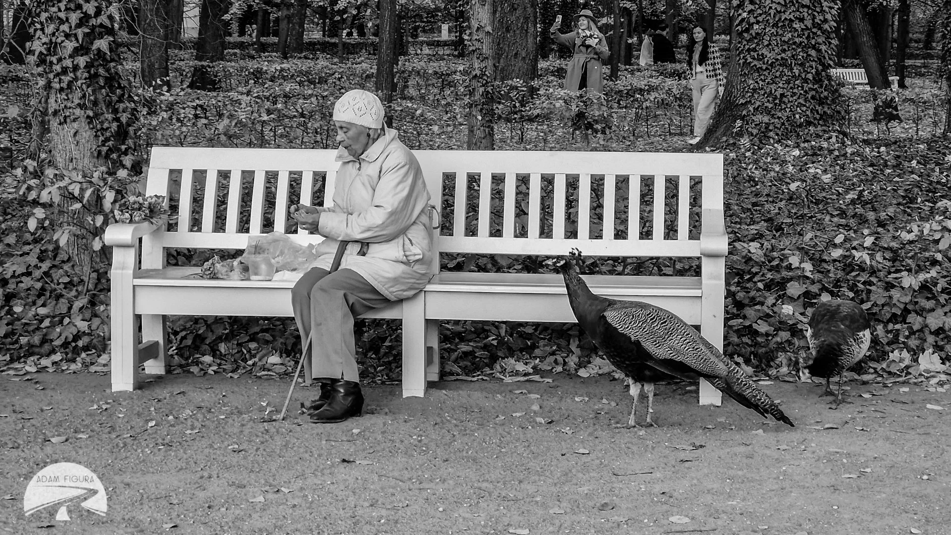 photo (14 of 17).jpg