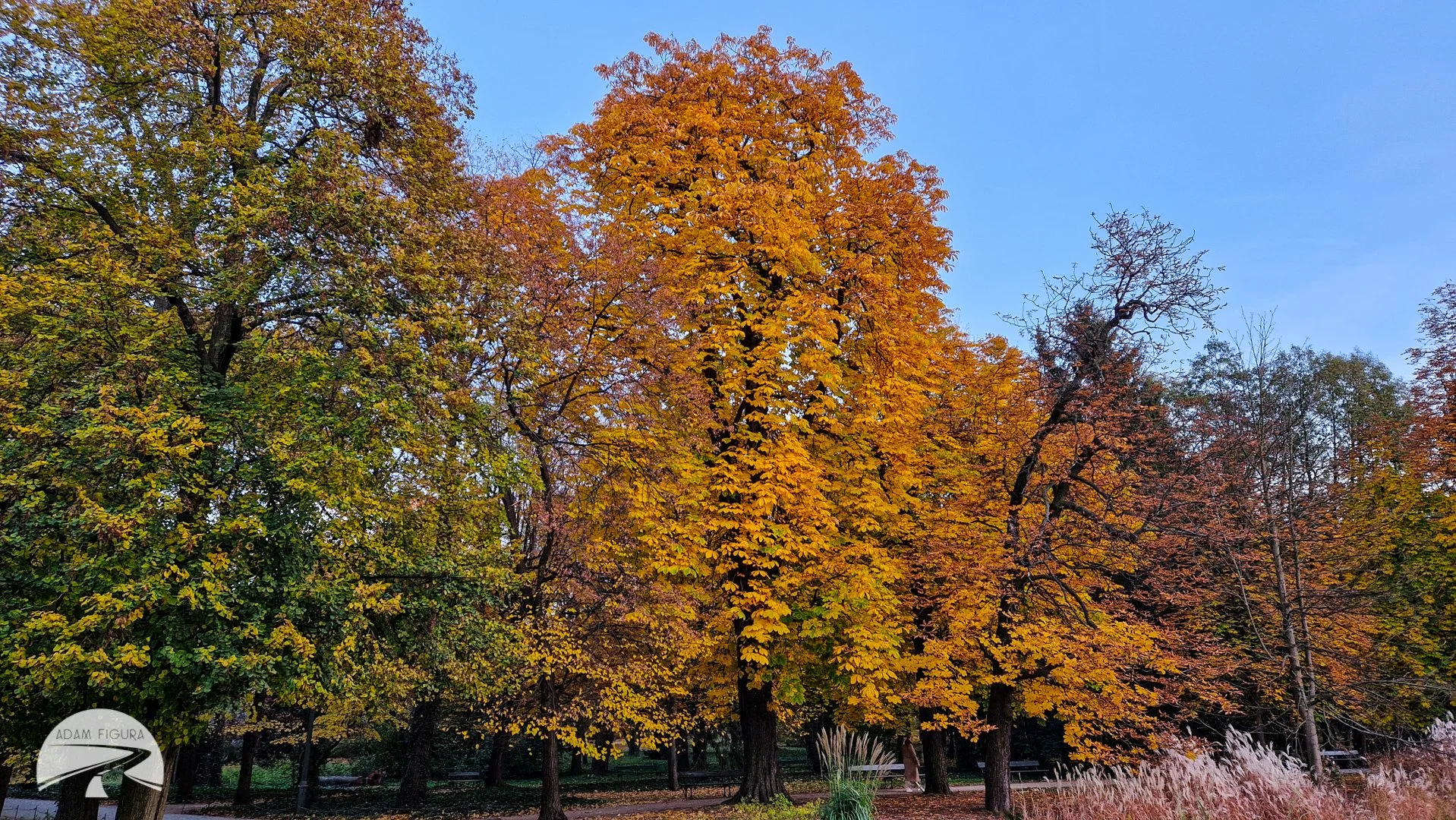 photo (15 of 17).jpg