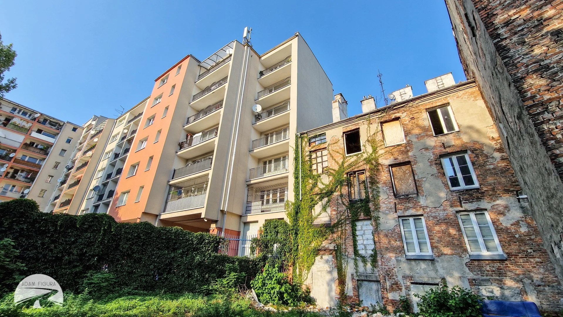 photo (12 of 17).jpg