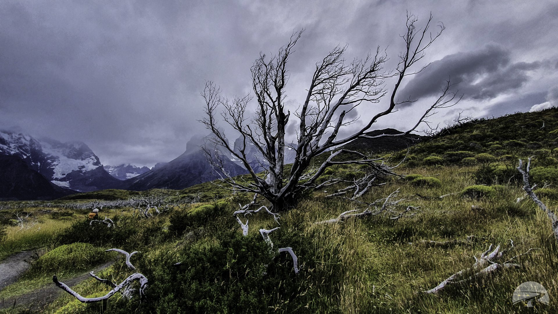 untitled (34 of 160).jpg