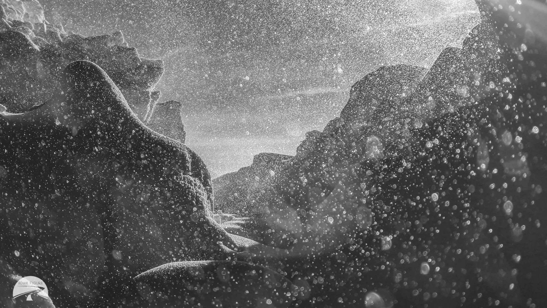 photo (28 of 40).jpg