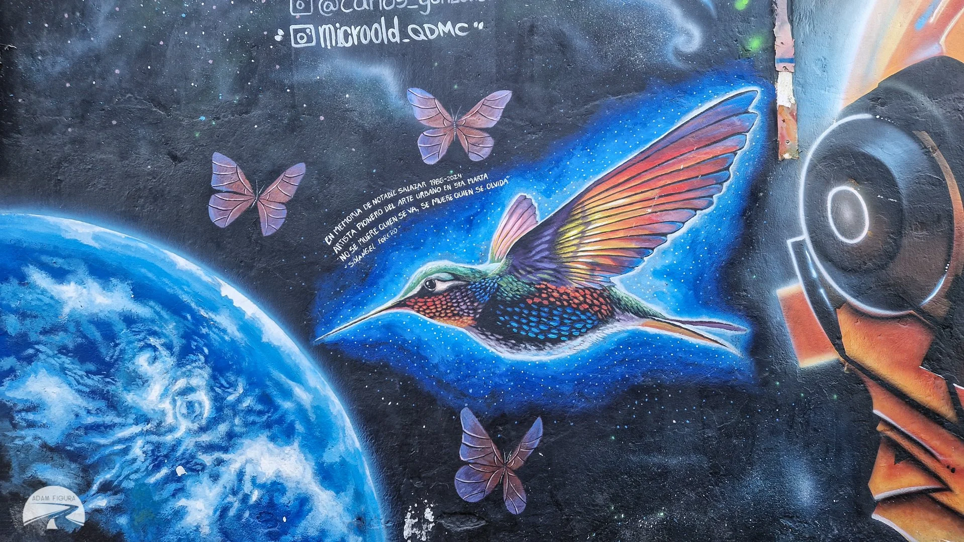 photo (18 of 32).jpg