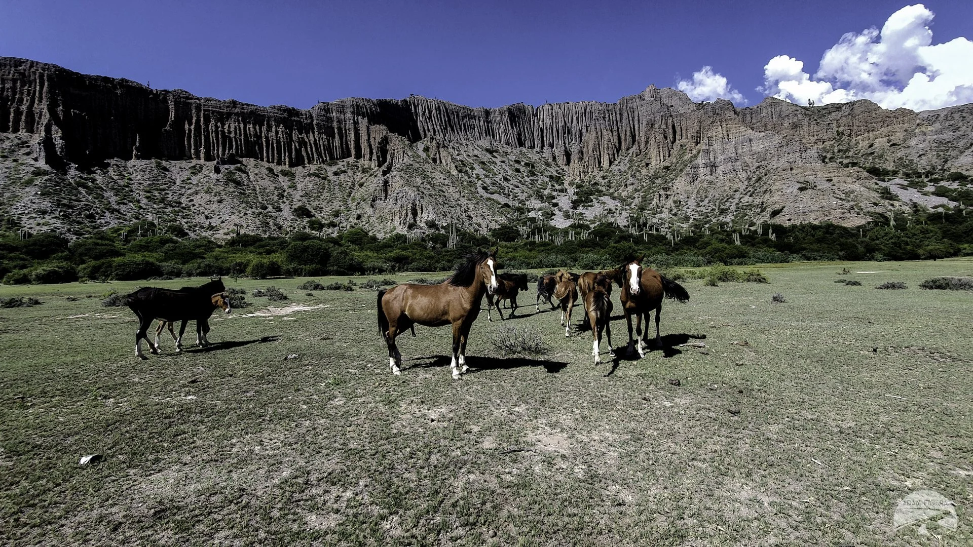 Salta