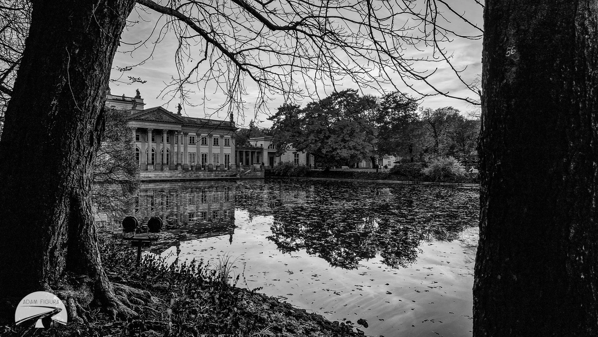 photo (13 of 17).jpg