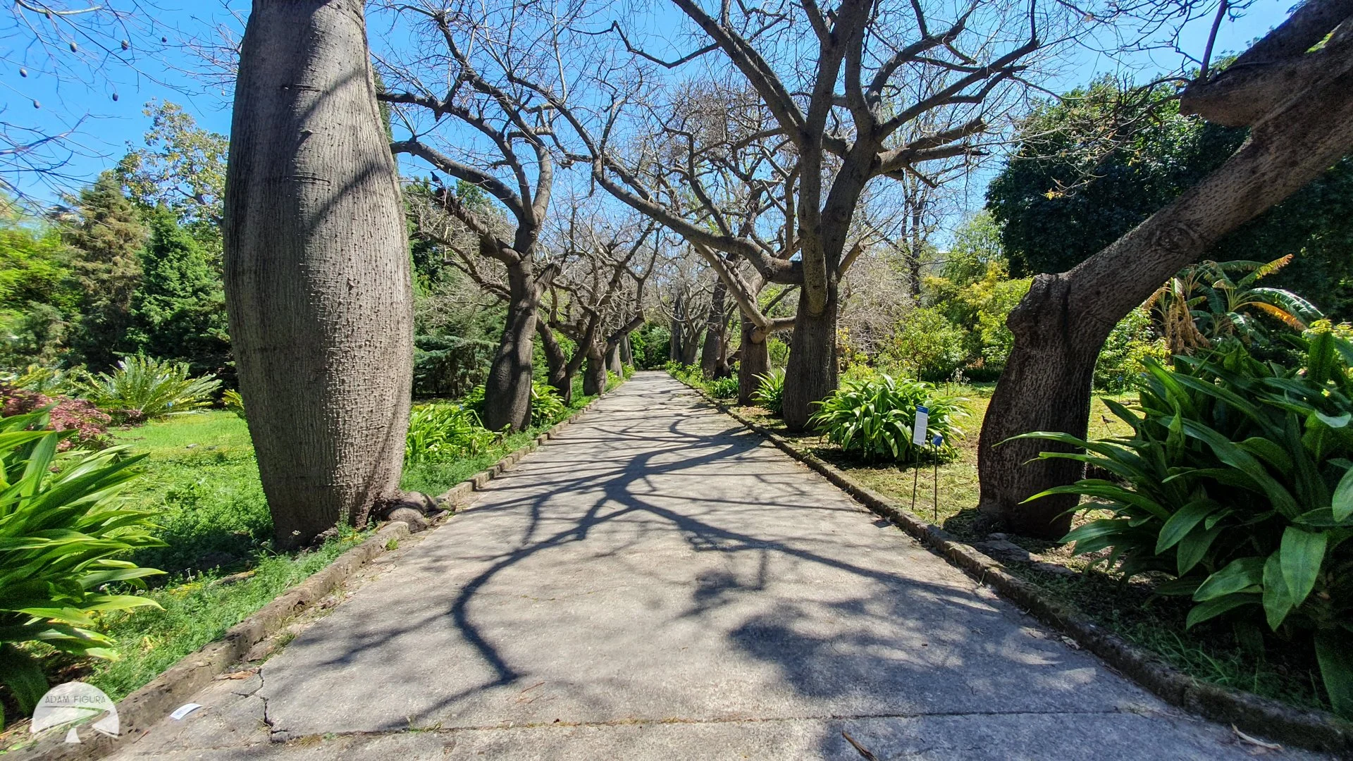 photo (12 of 28).jpg