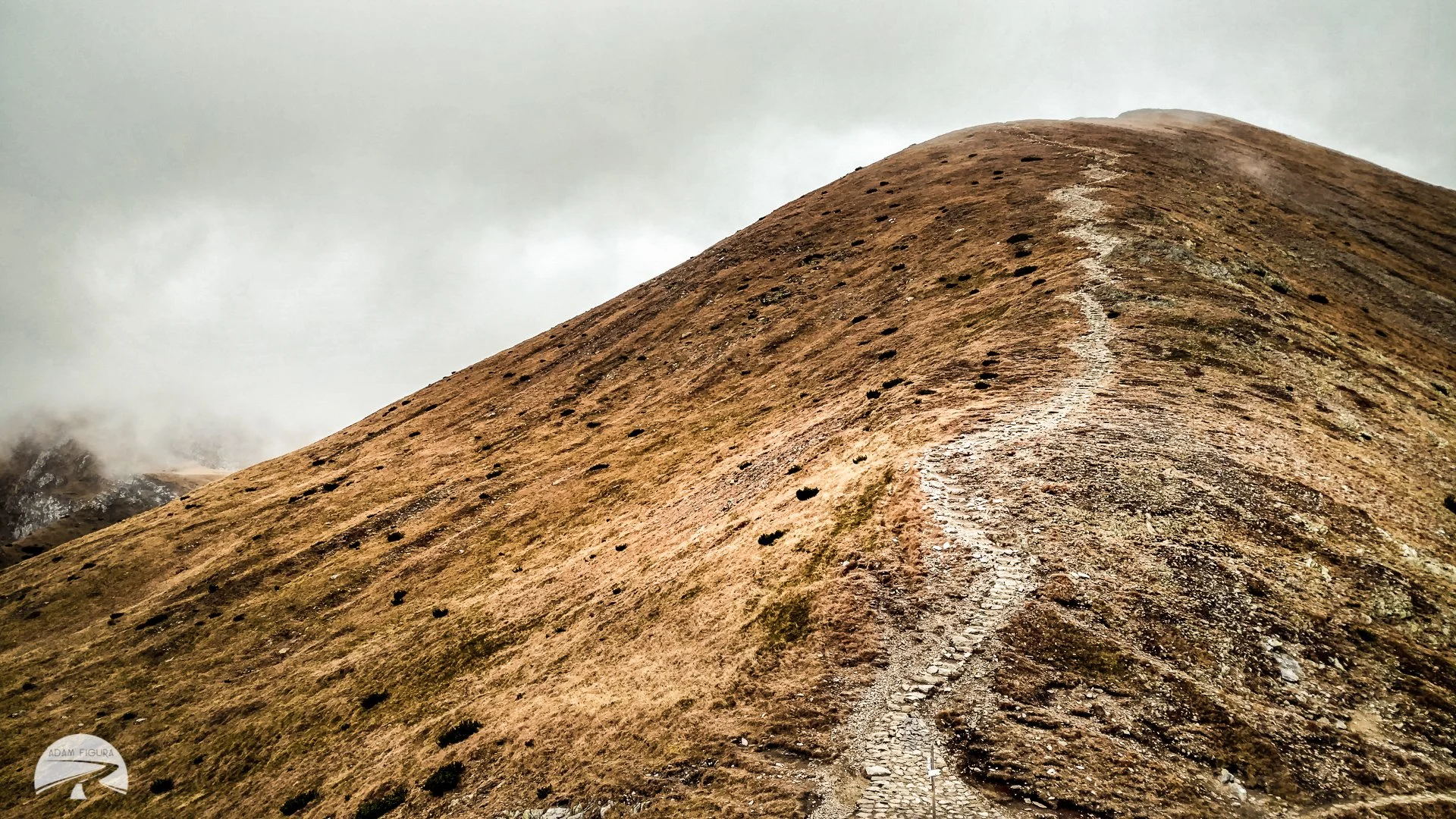 photo (2 of 40).jpg
