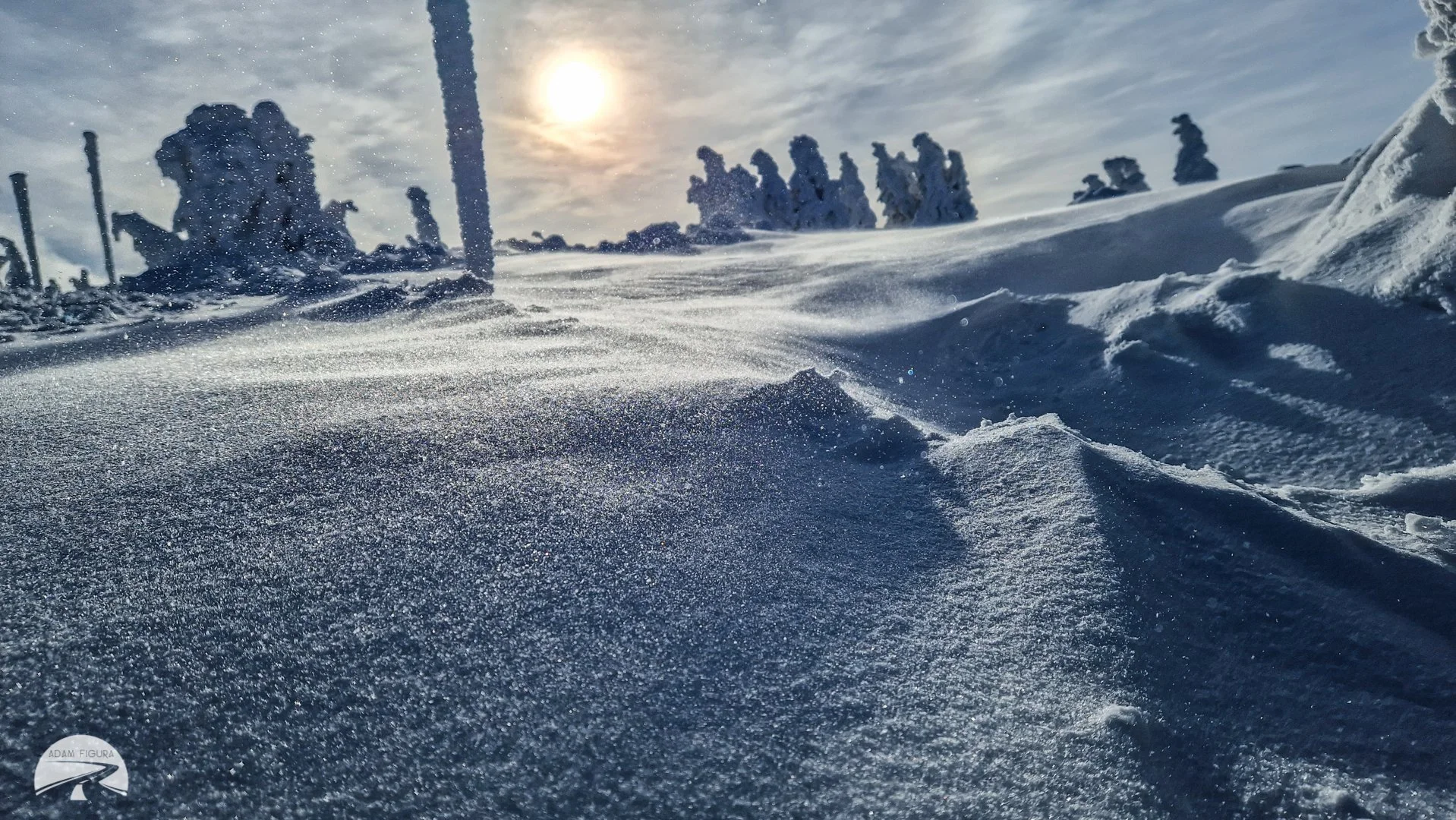 photo (34 of 40).jpg