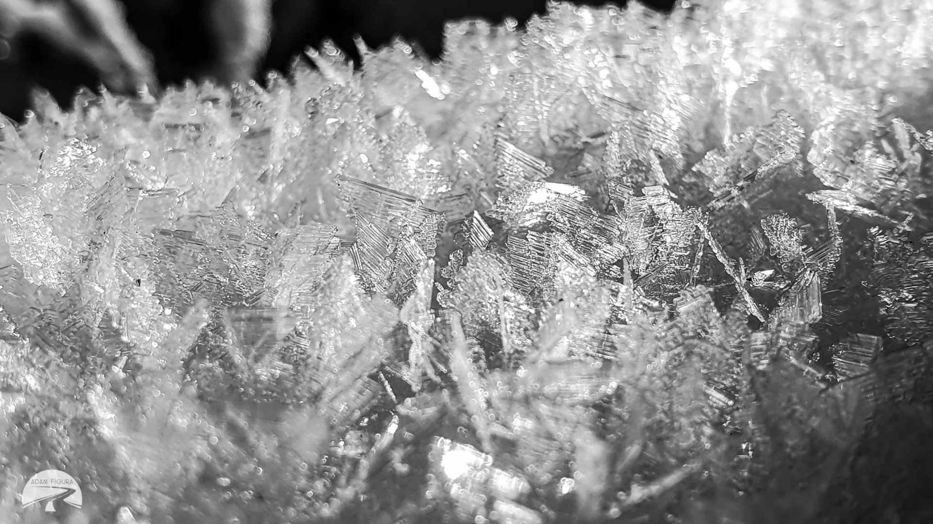 photo (25 of 40).jpg