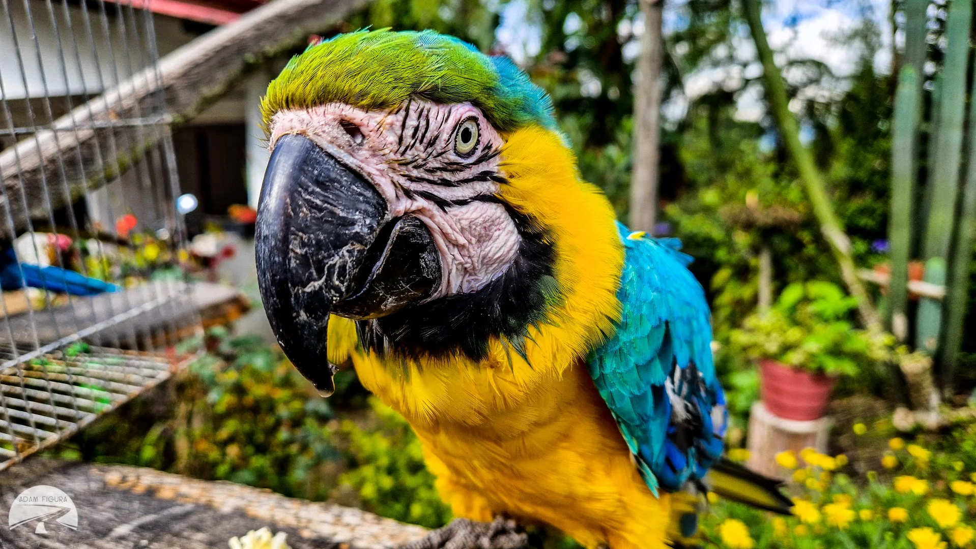 Colombia9.jpg