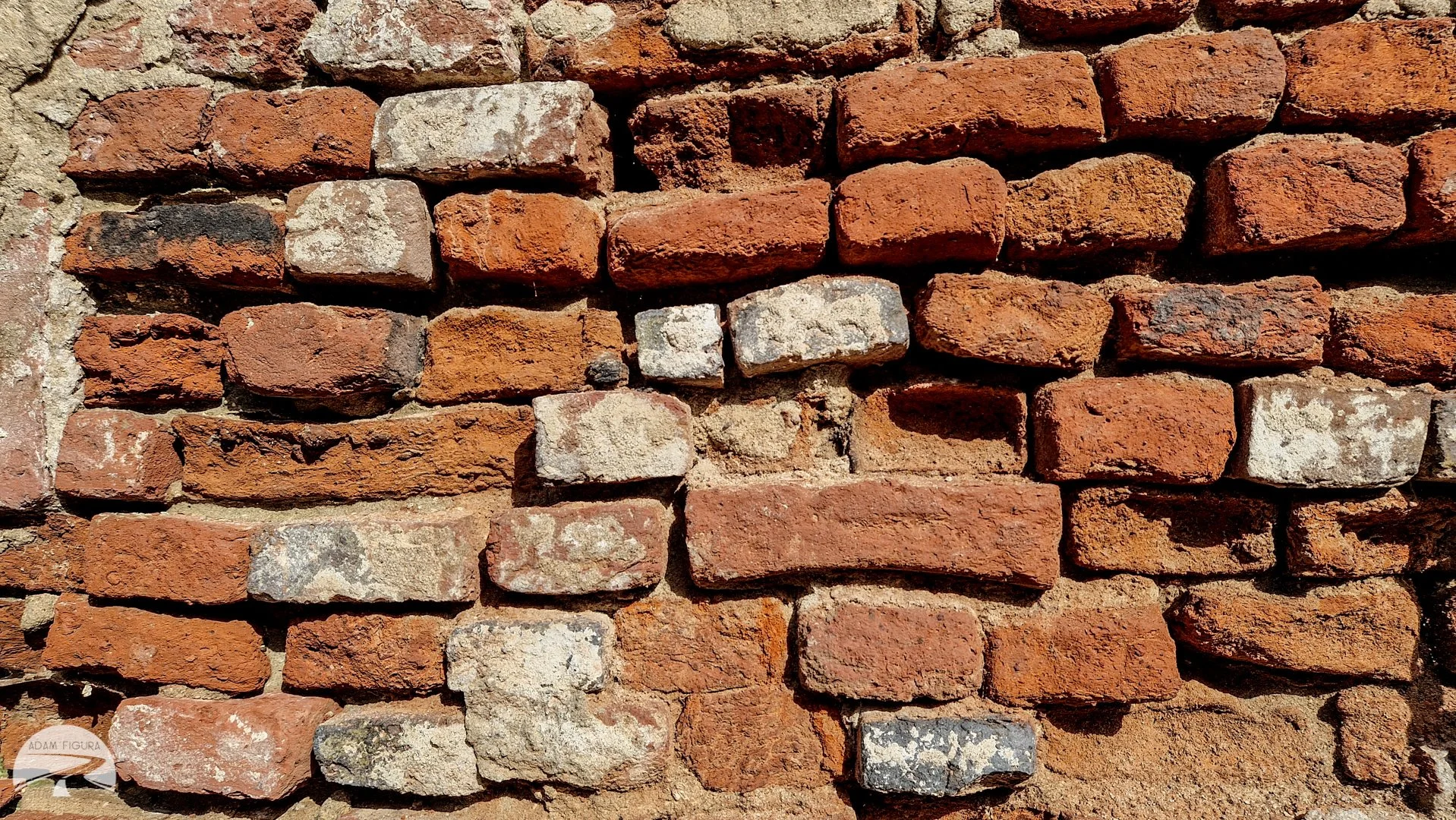 photo (29 of 34).jpg