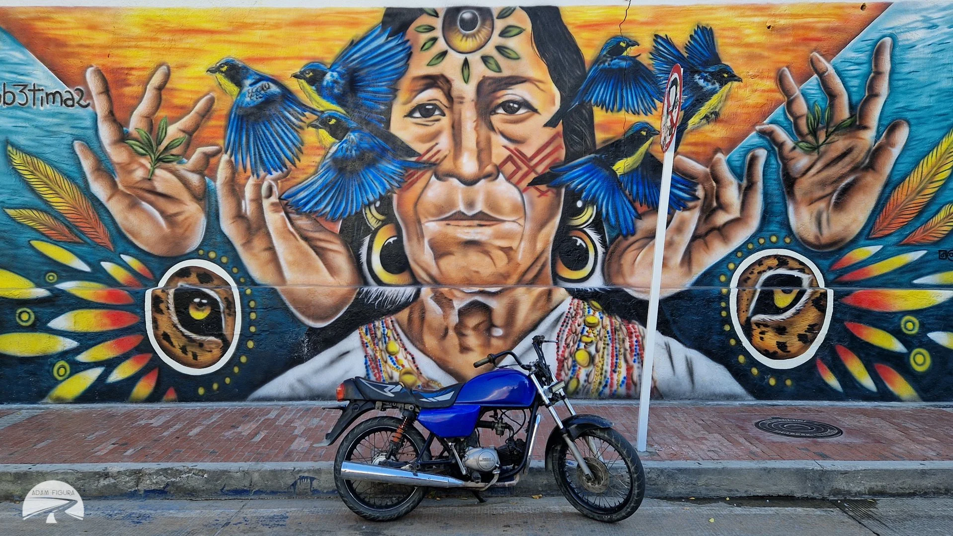 photo (17 of 32).jpg