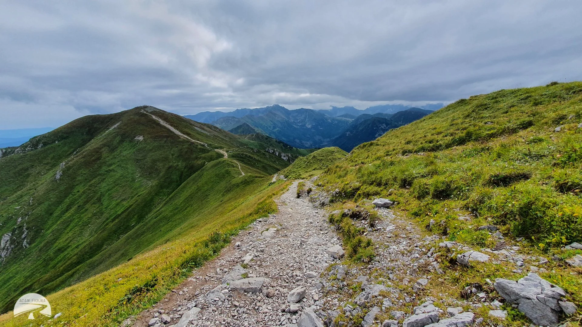 photo (16 of 40).jpg