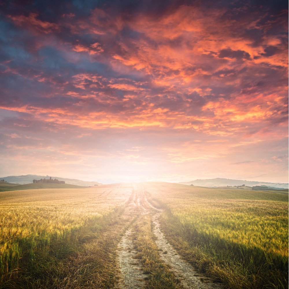 WHY IS BEING KIND TO OURSELVES SO HARD?