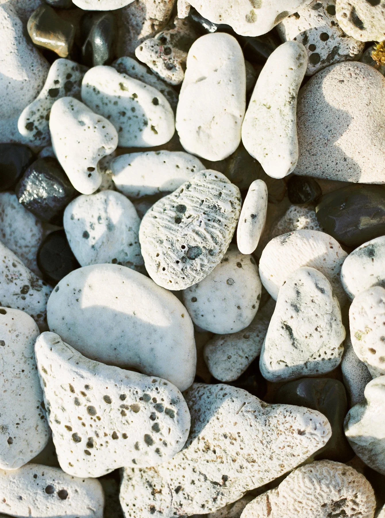 Embracing Aging: How to Change Your Mindset and Enjoy Your Life